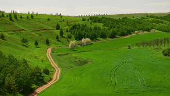 Фотография к новости: Түркия соты Анкара жерін АҚШ елшілігіне сатуды заңсыз деп тапты