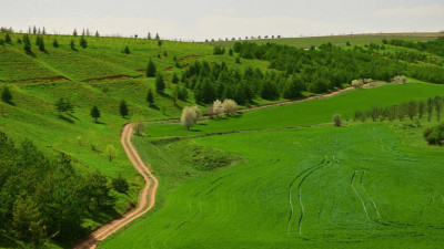 Түркия соты Анкара жерін АҚШ елшілігіне сатуды заңсыз деп тапты