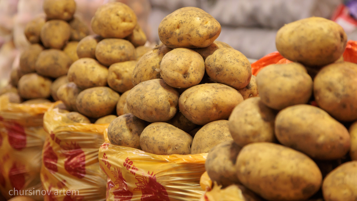  - архив/ Артём Чурсинов