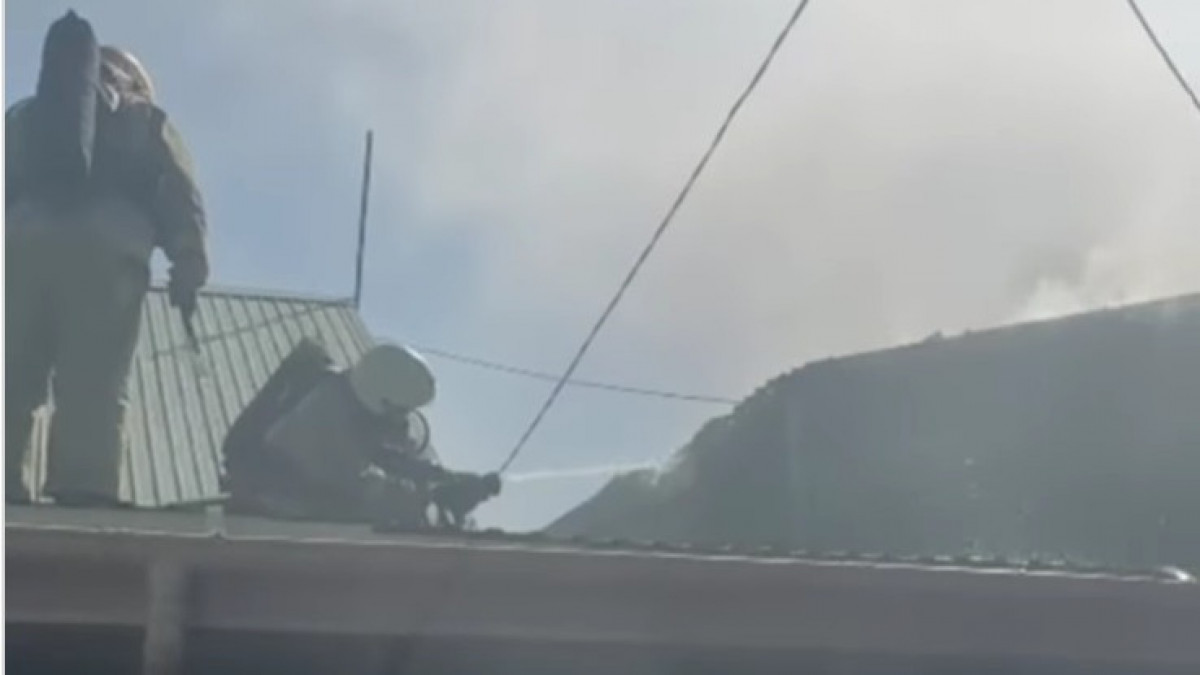  видеодан скриншот