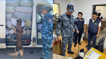 Фотография к новости: "Қарасора-2025": Атырауда есірткі айналымының алдын алу шаралары күшейтілді