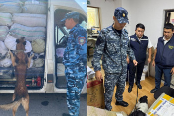 Фотография к новости: "Қарасора-2025": Атырауда есірткі айналымының алдын алу шаралары күшейтілді