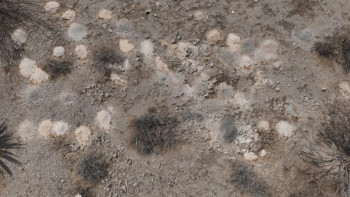 Фотография к новости: Жұмбақ жағдай: Шөл даладан 100-ден астам адамның күлі табылды