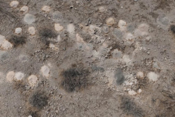 Фотография к новости: Жұмбақ жағдай: Шөл даладан 100-ден астам адамның күлі табылды