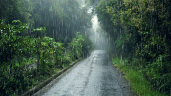 Фотография к новости: Қар аралас жаңбыр: 18 өңірде дауылды ескерту жарияланды