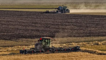 Фотография к новости: Қазақстанда 5,9 млн тонна астық жиналды