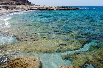 Фотография к новости: Каспий теңізіне төнген қауіп: бір айда жарты миллиард зиян келді