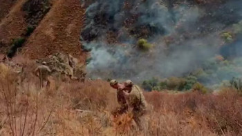 Фотография к новости: Үшқоңыр тауларындағы ірі табиғи өрт сөндірілді