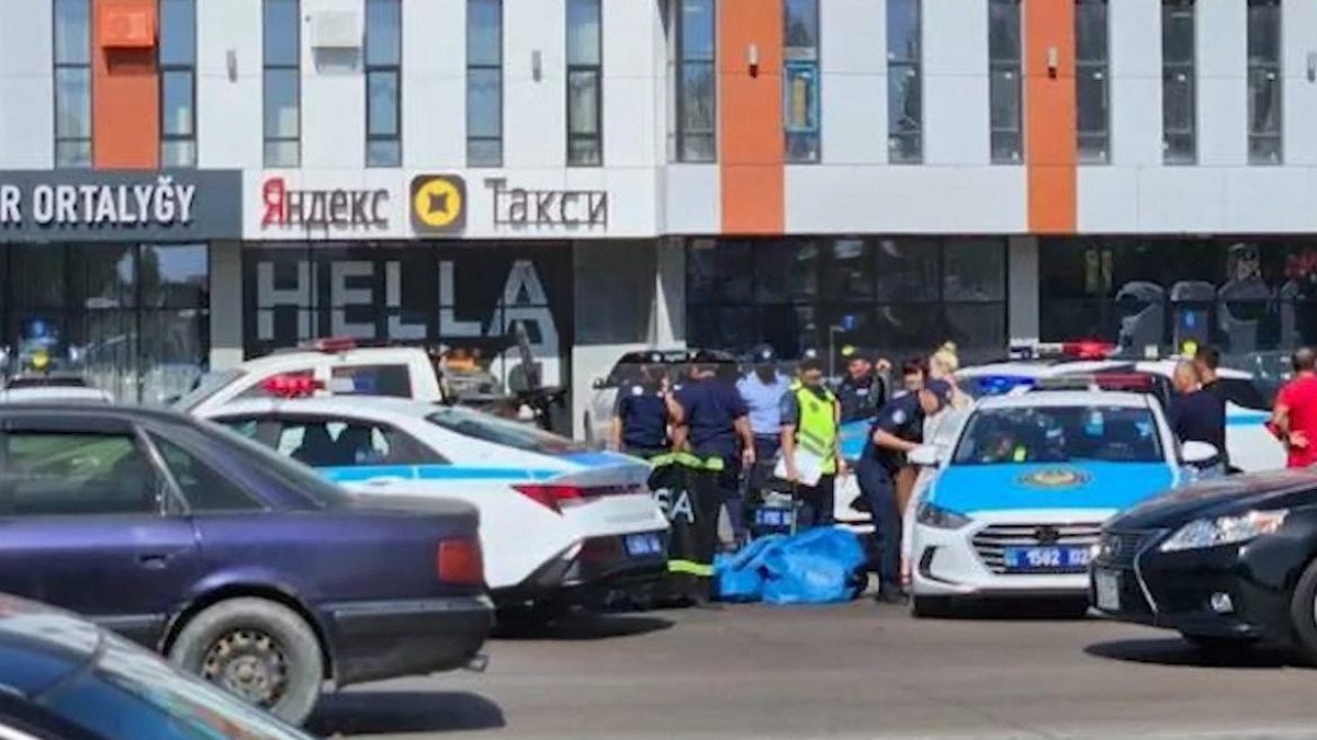  видеодан скриншот