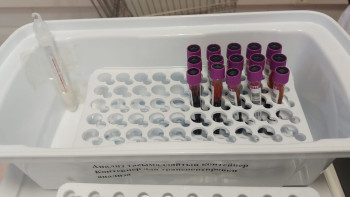 Фотография к новости: Қазақстанда тромбоцит донорлығы дамып келеді