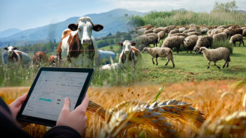 Фотография к новости: Ауыл шаруашылығы санағы: 10 жылдық үзілістен кейінгі қорытындылар қандай?