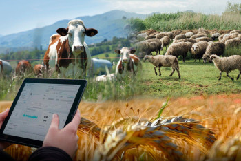 Ауыл шаруашылығы санағы: 10 жылдық үзілістен кейінгі қорытындылар қандай?