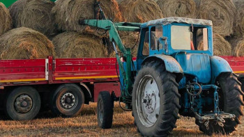 Фотография к новости: АШМ: Елде 27,6 млн тонна мал азығы дайындалды