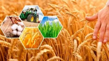 Фотография к новости: Тоқаев кенжелеп қалған ғылым салаларын дамыту керектігін айтты