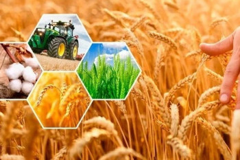 Фотография к новости: Тоқаев кенжелеп қалған ғылым салаларын дамыту керектігін айтты