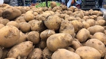 Фотография к новости: Картоптың бағасы – 130 теңге: Жұманғарин қымбатшылық туралы