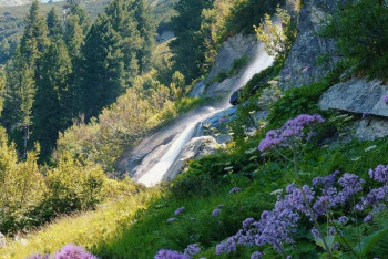 Фотография к новости: Алматы облысының тауларында туристер қапаста қалды