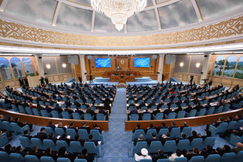 Фотография к новости: Су далаға кетіп жатыр: Тоқаев Үкіметке жаңа міндет жүктеді