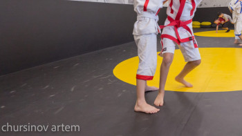 Фотография к новости: Ерейментауда жарыс кезінде 15 жастағы балуан жарақаттанып, жансақтау бөліміне түсті