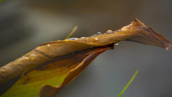 Фотография к новости: Қазақстанда бүгін ауа райы күрт құбылады: бұршақ, дауылды жел, өрт қаупі бар
