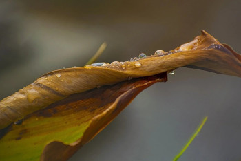 Фотография к новости: Қазақстанда бүгін ауа райы күрт құбылады: бұршақ, дауылды жел, өрт қаупі бар