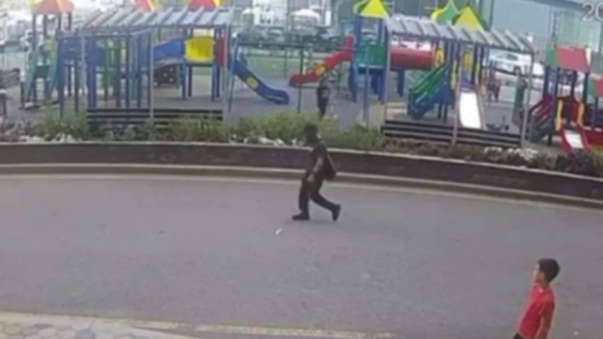  видеодан скриншот