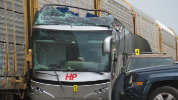 Фотография к новости: Автобус пен пойыз соқтығысты: 10 адам қаза тауып, 40-тан астамы жарақаттанды