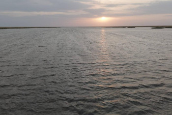 Фотография к новости: Солтүстік Аралдағы су көлемі жоспардан бұрын артты