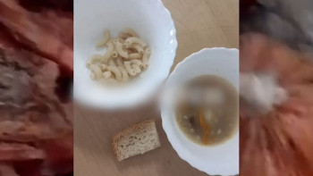 Фотография к новости: "Тарақан қосылған тамақ": Талдықорған балабақшасында жанжал шықты