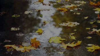 Фотография к новости: Жабысқақ қар, жаңбыр, жел: бірнеше өңірде дабылды ескерту жарияланды