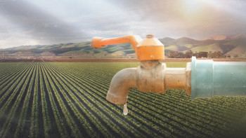 Фотография к новости: Судың "көлеңкелі" нарығына қарсы республикалық деңгейде күрес басталды