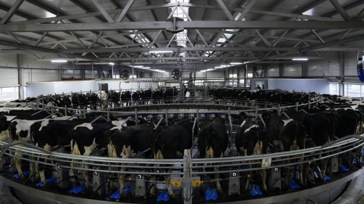  Үкіметтің баспасөз қызметі