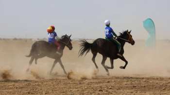 Фотография к новости: "Ақ бидай" республикалық VIII ауыл спорты ойындары басталды