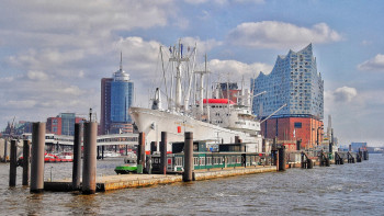 Фотография к новости: Гамбург портынан 400 келіден астам есірткі тәркіленді