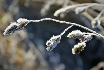 Фотография к новости: Нөсер, найзағай және алғашқы үсік: алдағы 3 күнге арналған ауа райы болжамы