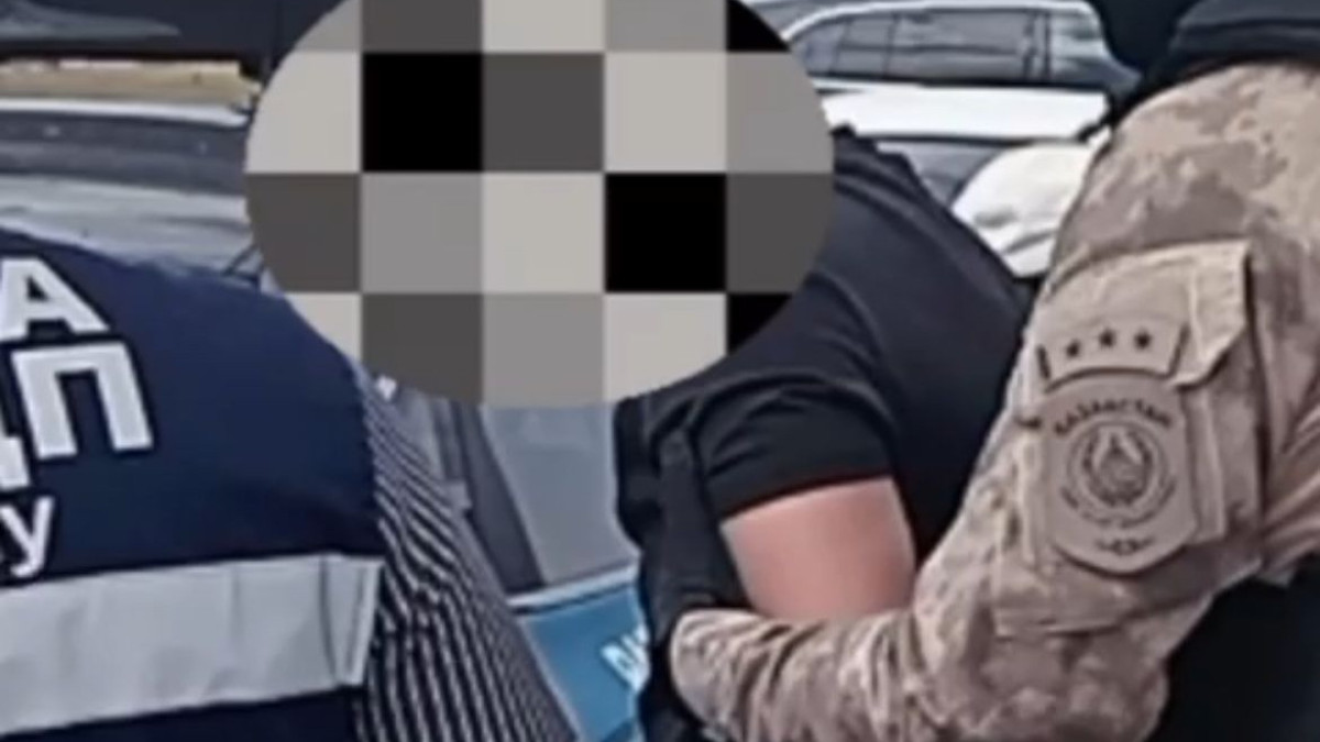  видеодан скриншот