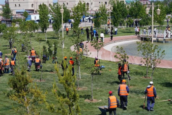 Фотография к новости: Түркістан облысында бір аптада 189 тонна қоқыс шығарылды