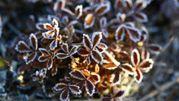 Фотография к новости: Тұман, аяз, найзағай: 17 облыста дауылды ескерту жарияланды