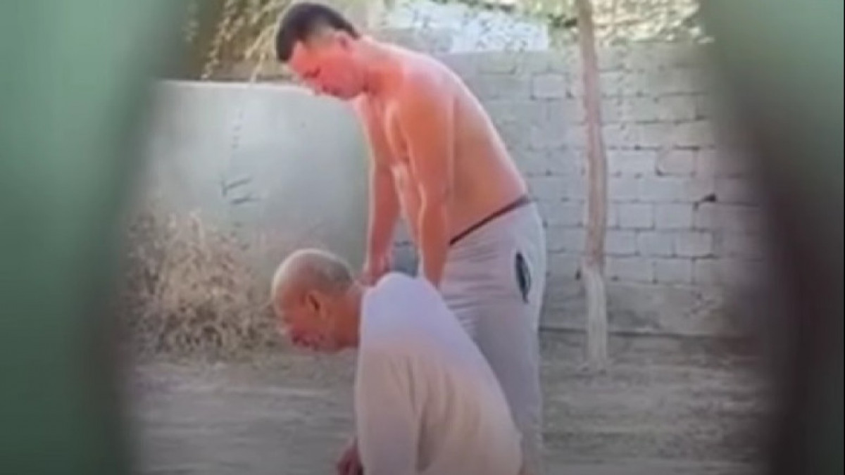  видеодан кадр