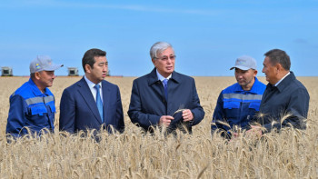 Фотография к новости: Ақмола облысындағы егін даласы: Биылғы науқанның табысты қадамдары