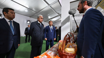 Фотография к новости: Тоқаев: Көкшетаудың балмұздағын сатып аламыз