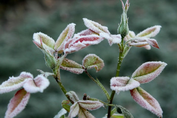 Фотография к новости: Аяз, бұршақ: 16 облыста дауылды ескерту жарияланды