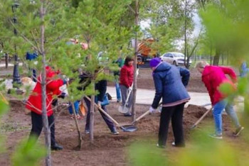 Фотография к новости: Дүниежүзілік тазалық күні: Астанада жалпықалалық сенбілік өтеді