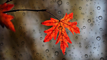 Фотография к новости: Бұршақ, аяз, найзағай: 16 облыста дауылды ескерту жарияланды