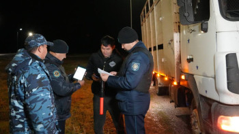 Фотография к новости: Мал ұрлығының алдын алу: Қарағанды облысында мобильді бекеттер қойылды