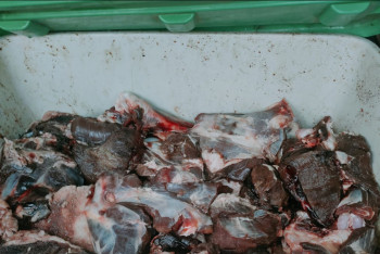 Фотография к новости: Қарағанды облысында браконьерлердің көлігінен бұғы мен киік еті табылды