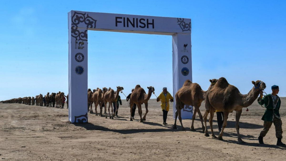 Алматы облысының әкімдігі