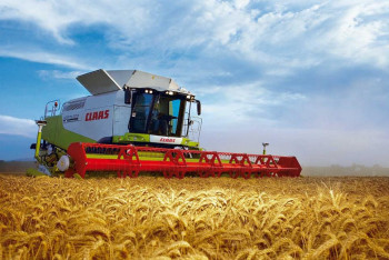 Фотография к новости: Ауа райы егін сапасына әсер етпеуі тиіс – Бектенов тапсырма берді