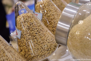 Фотография к новости: Дүкендерде азық-түлік бағасын төмендететін арнайы сөрелер пайда болады