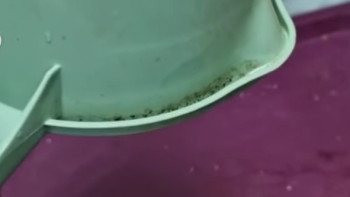 Фотография к новости: Қоқыс, көгерген иіс пен кір: Алматыдағы мектеп асханасы ата-аналарды шошытты